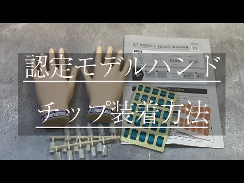 ネイリスト検定／認定モデルハンドのチップ装着方法】 - YouTube