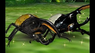 アーケード] 甲虫王者 ムシキング - ヘルクレスオオカブト X