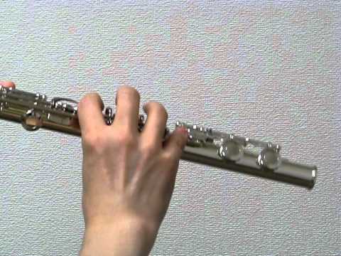 中古フルート ミヤザワ MIYAZAWAフルート MS-70S C管 - YouTube