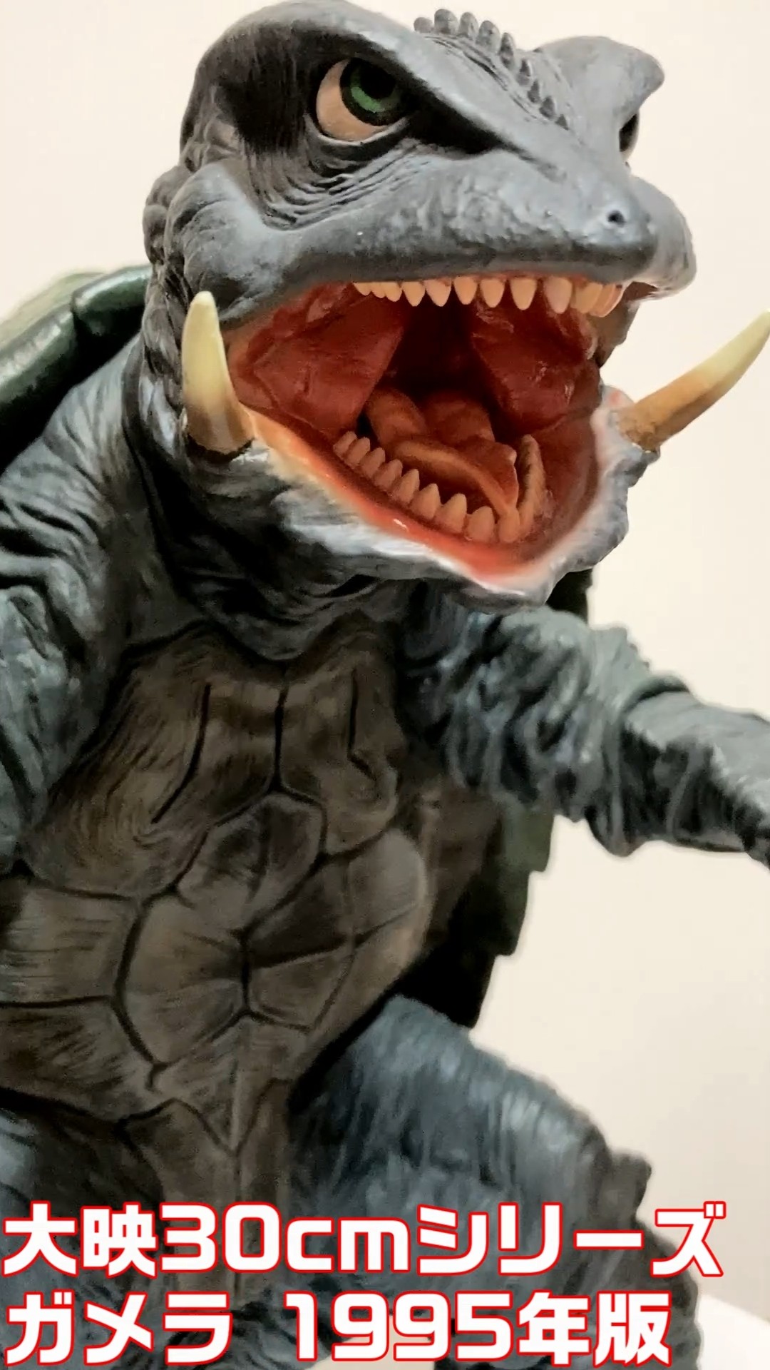 ガメラ 1995年 大映30cmシリーズ エクスプラス 少年リック 2013年発売