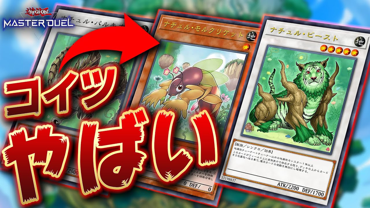 環境入りか!?】新弾で一番やばいデッキ『イシズ春化精ナチュル』が強