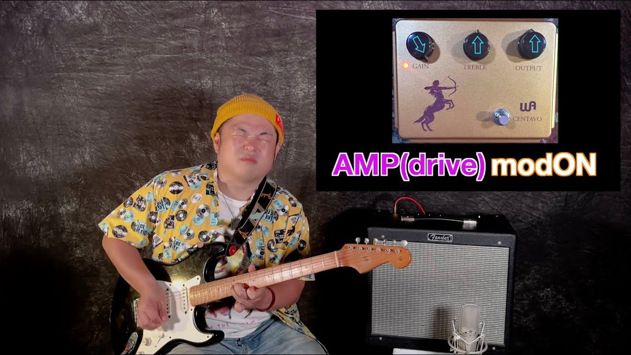 WARM AUDIO ( ウォームオーディオ ) Silver Centavo 送料無料