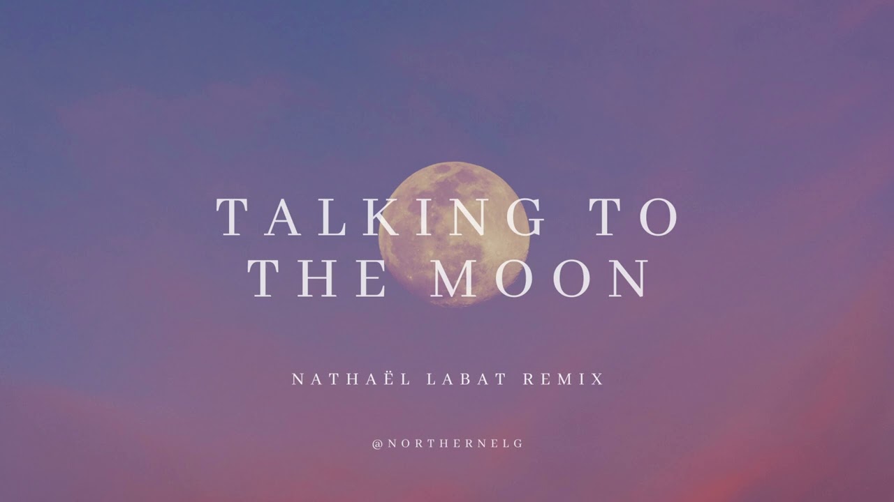 2540❣️ アリス・ヒース作 「トーキング・トゥ・ザ・ムーン Talking