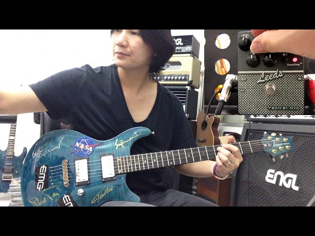 Tech 21 SansAmp Character Series Leeds Distortion Guitar Effects