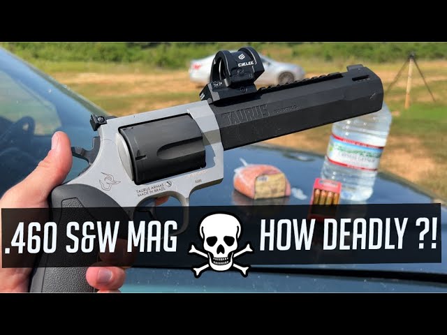 How Deadly Is The .460 S&W Magnum - YouTube