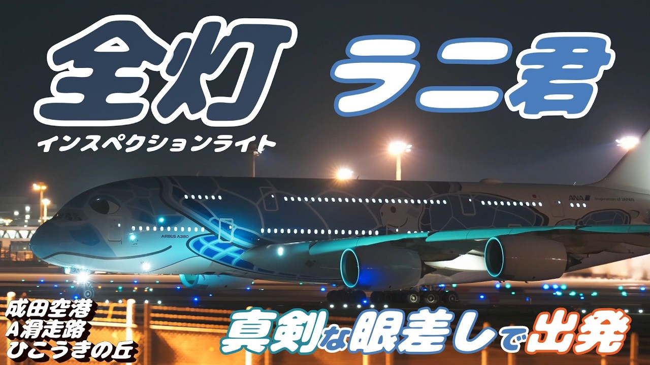 4K】成田空港 ひこうきの丘 ANA超巨大旅客機エアバスA380 ラニ君 夜の