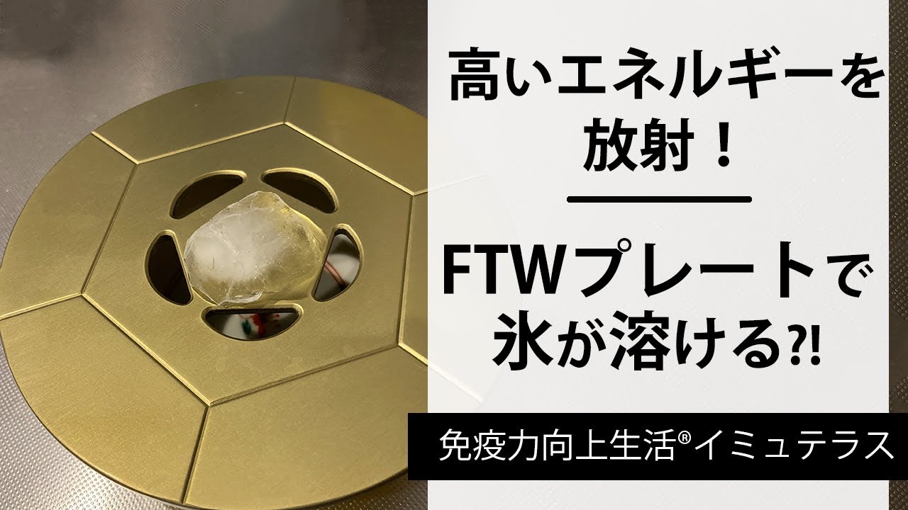 FTW Gフォーグセット/ 正規代理店 両手振り運動・スワイショウに