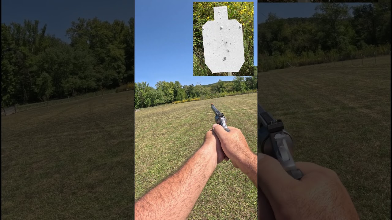 Rossi RM66 .357 Magnum 6