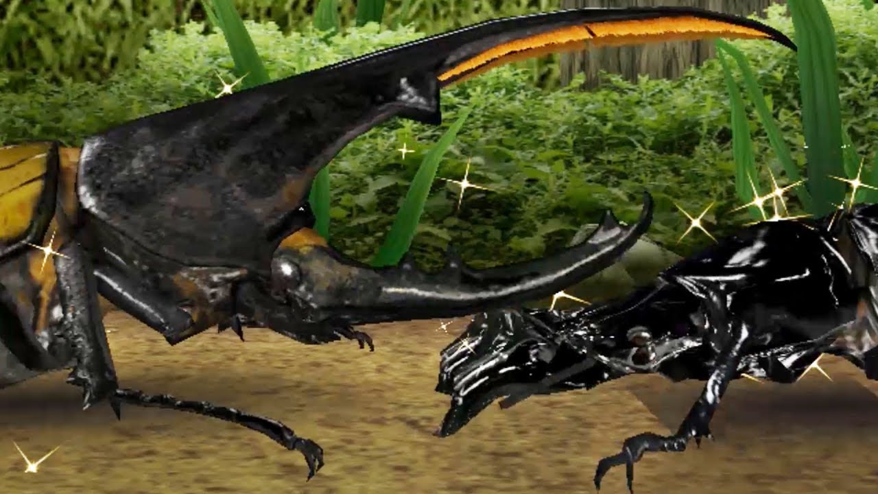 ヘルクレスオオカブト VS タランドゥスツヤクワガタ - 甲虫王者