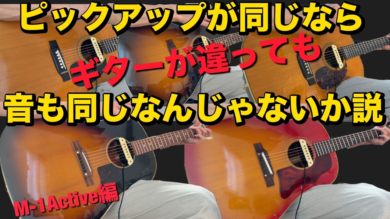 徹底解説】L.R.Baggs Anthem with Martin D-35 アーティスト御用達