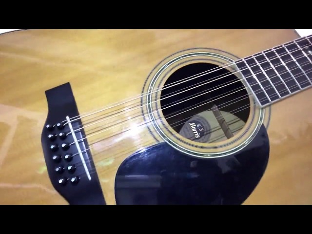 Morris】2万円でハカランダ！12弦ギターを買ってみた！【B-50】 - YouTube