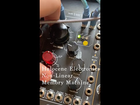 Holocene Electronics Non-Linear Memory Machine / Metropolix