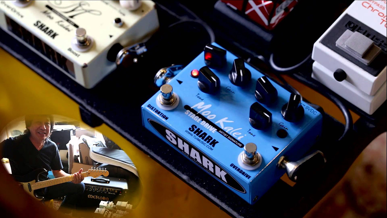 SHARK Moo kalei Overdrive - YouTube