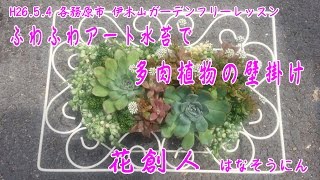 ギャザリング水苔で多肉植物の寄せ植え】壁掛け/花創人はなそうにん