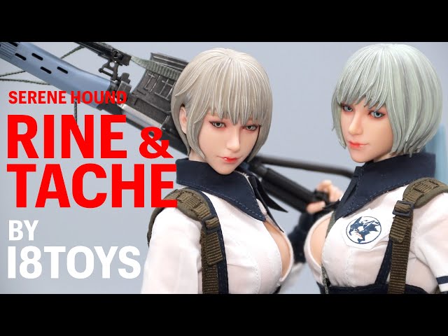 i8Toys Serene Hound Tache & Rine 1/6 Scale Figure Unboxing