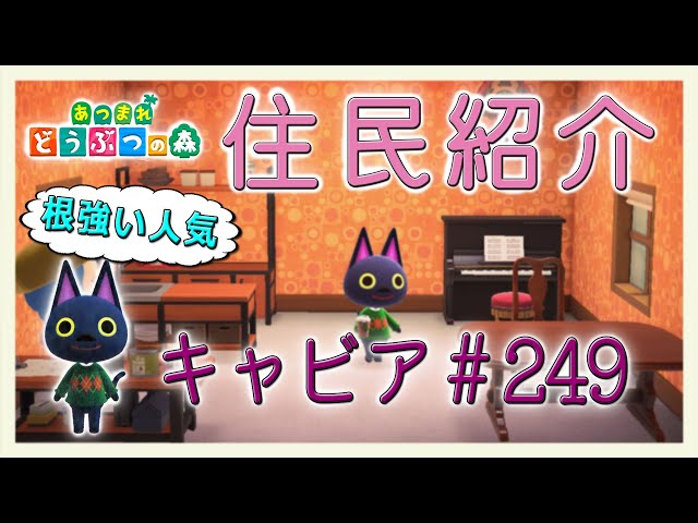 あつ森住民紹介 キャビア＃249 New Horizons Kiki - YouTube