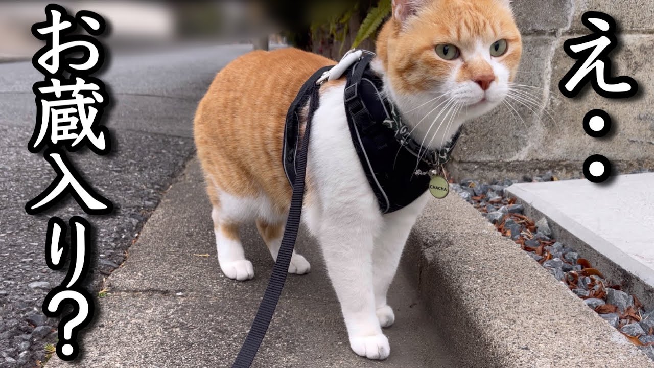 Unreleased & Bloopers & Behind the Scenes] - YouTube