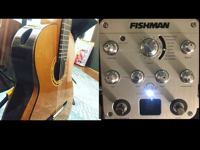 Fishman Aura Nylon Guitar Presets - YouTube