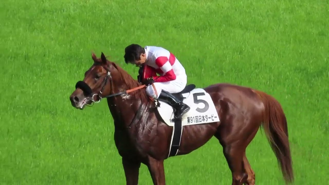 maxresdefault.jpg?sqp=-