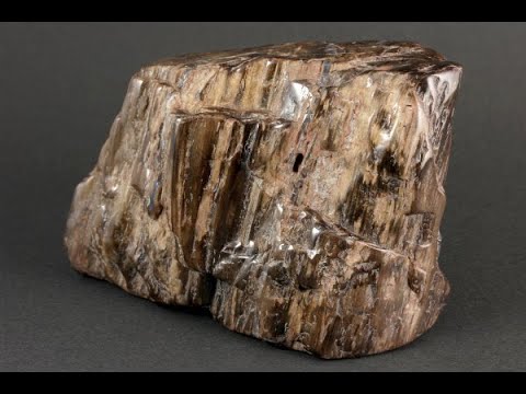珪化木(木化石) 原石 磨き 778g / Petrified wood - YouTube