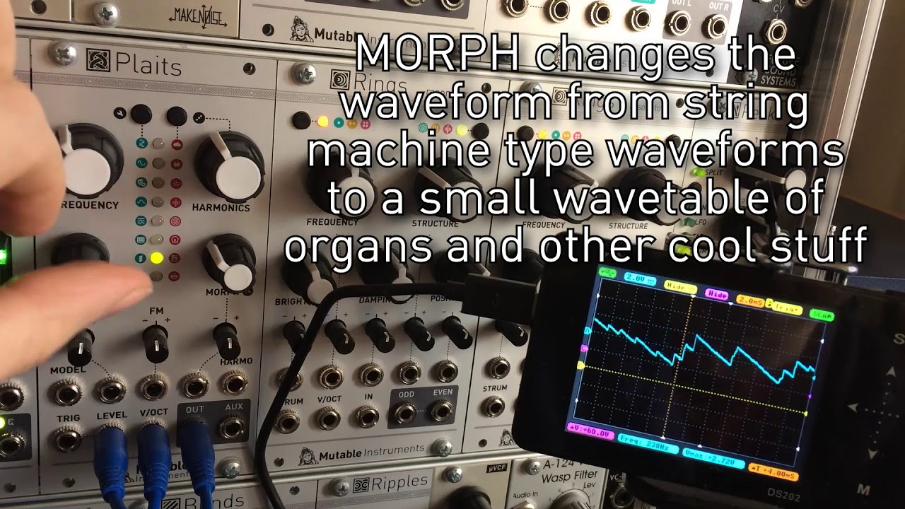 Mutable Instruments Plaits—Clockface Modular