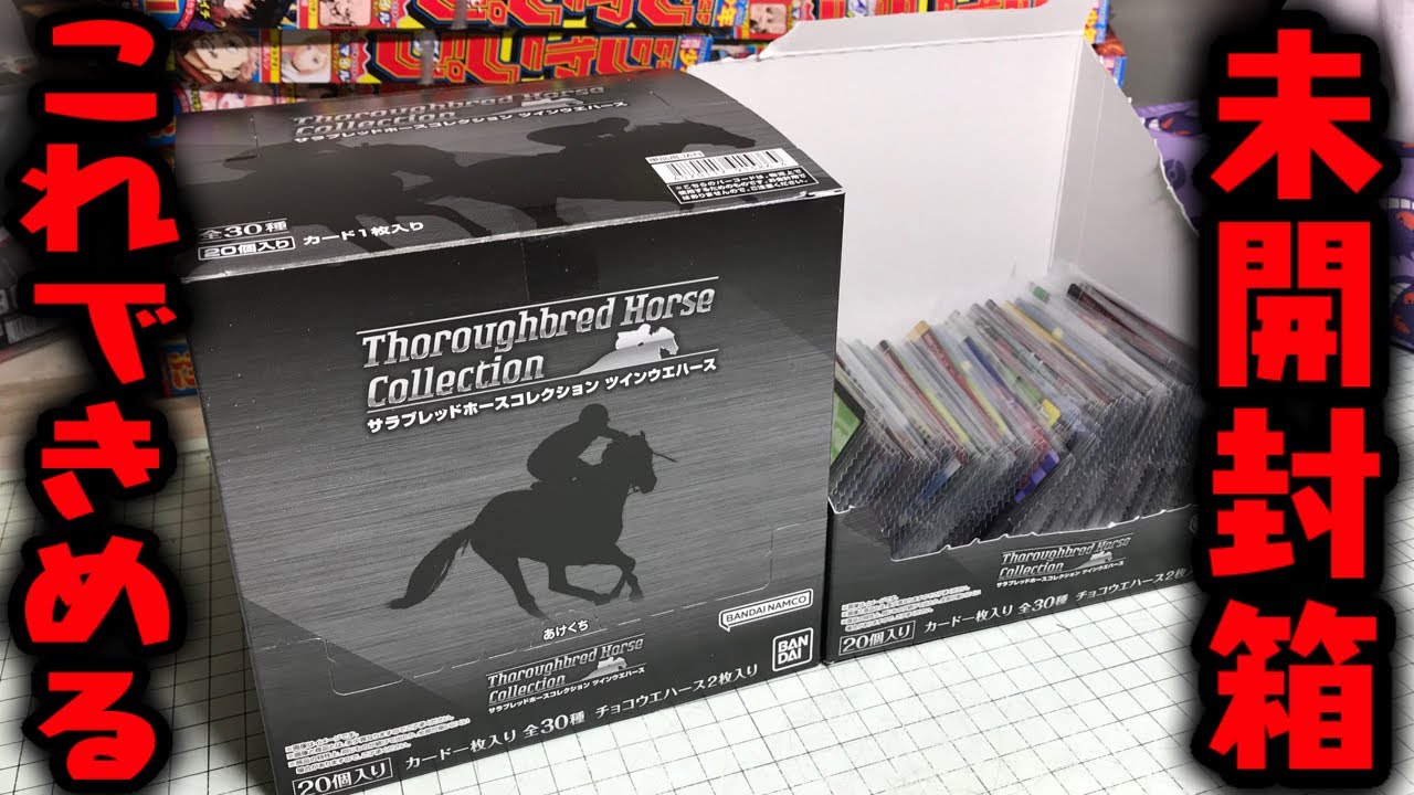奇跡の未開封箱ゲット！サラブレッドホースコレクション ツイン