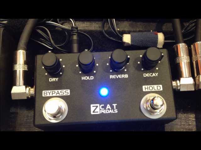zcat pedals Reverb Hold Review - YouTube