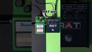 ProCo Rat 2 Red Ikebe Exclusive - Pedal on ModularGrid