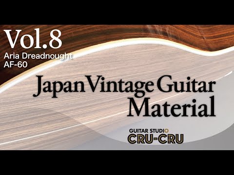 Aria Dreadnought AF-60 - YouTube