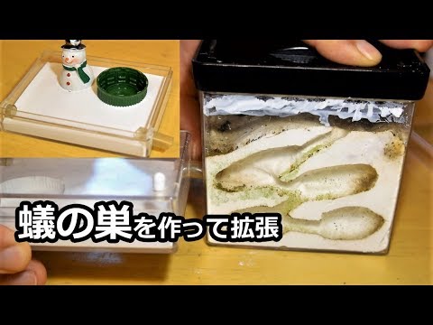 アリの巣の作り方！そして拡張！【女王アリの影？】 - YouTube