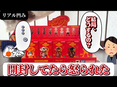 衝撃】話題のルフィズを1BOX開封してたらフィギュアについて妻に怒られ