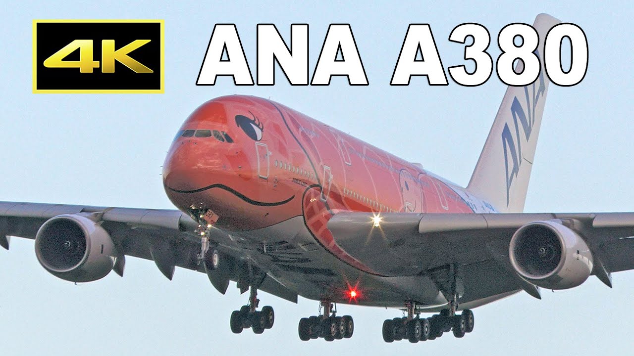 4K] ANA A380 (JA383A) first flight from Honolulu to Tokyo Narita