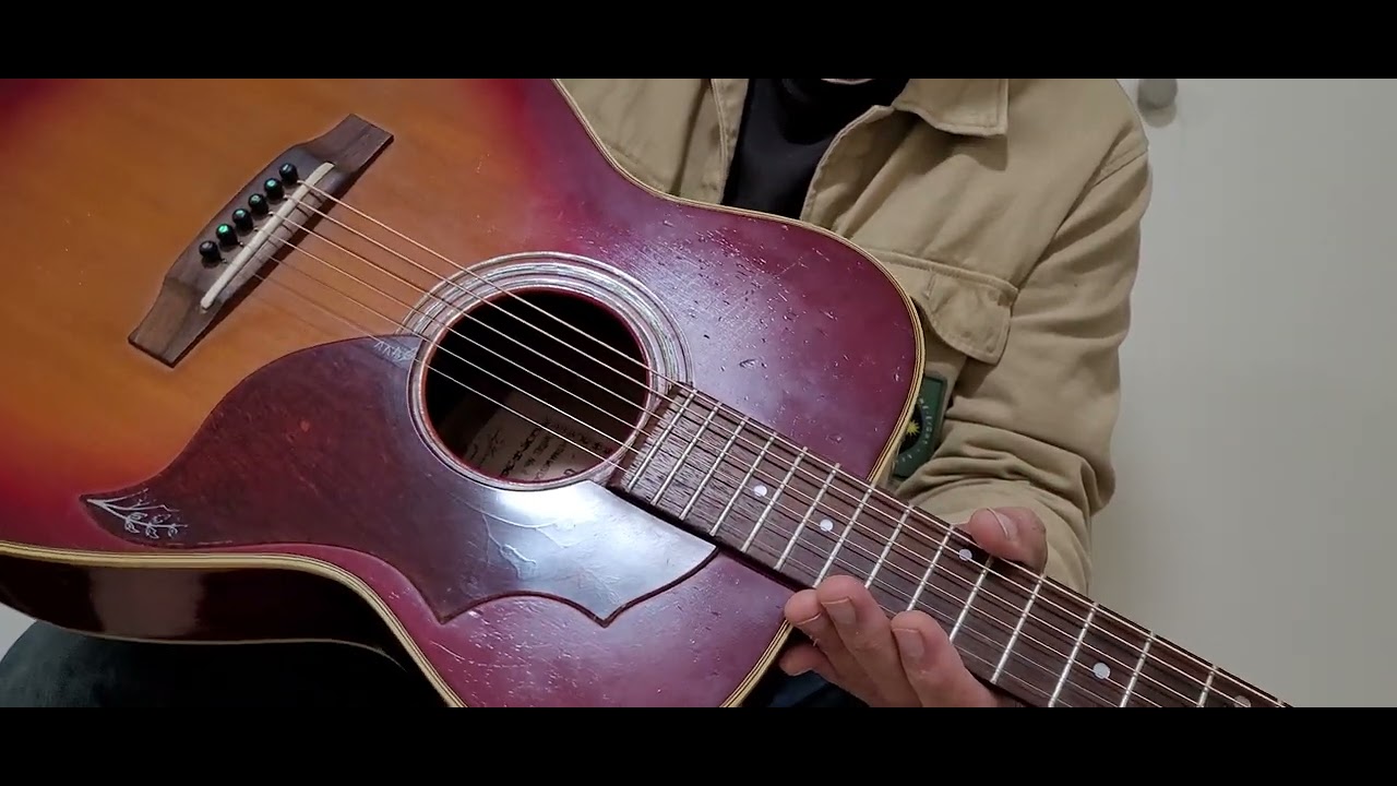 Yasuma NewAnce Diplomat 1972 Acoustic Guitar - YouTube