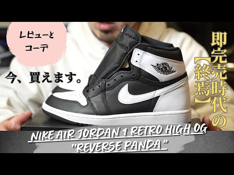 着画とレビュー】大人気AJ1パンダのカラーを反転させたNike Air Jordan