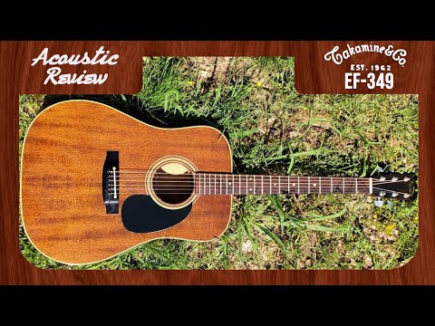 Acoustic Guitar Review: Takamine EF-349 