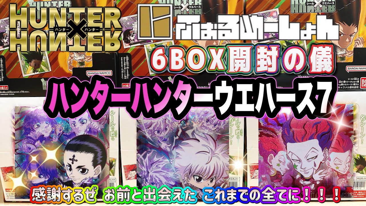 Hunter x Hunter Wafer 7 Unboxing Ceremony - Sometimes I want to