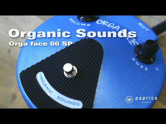 Organic Sounds Orga face 66 SP - YouTube