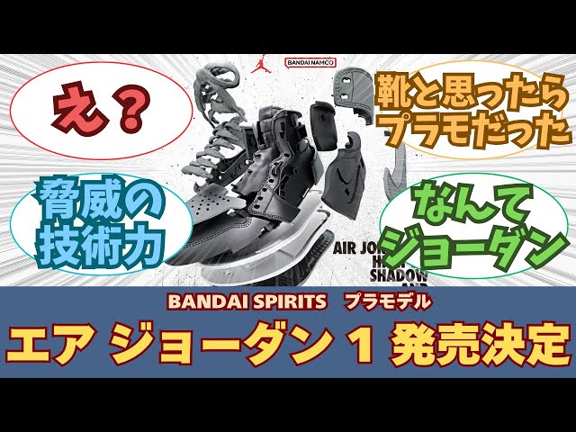 New Release] Everyone's Reactions to the Release of the Nike Air