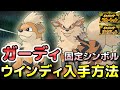 ポケモンSV】ガーディ・ウインディ入手方法！固定シンボルの出現場所と
