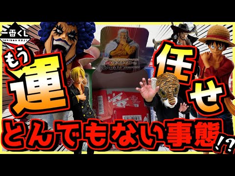 一番くじ ワンピース 試練のその先へ 【もう運任せで挑戦‼︎ ヤバい
