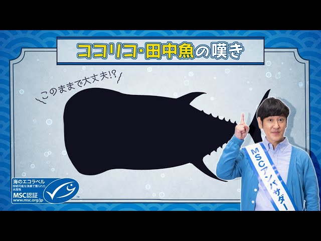 ココリコ・田中魚の嘆き - YouTube