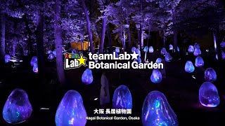 チームラボ、大阪・長居で夜の植物園をアート空間に変える常設展