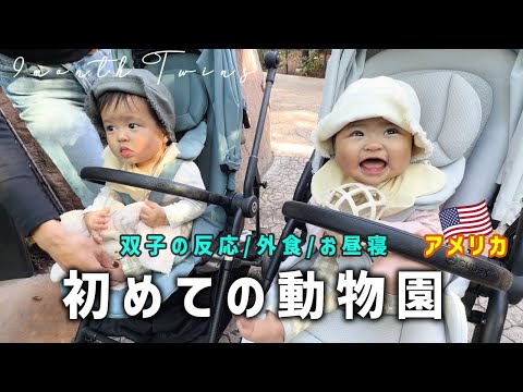 Twins vlog] Their first time at the zoo in the USA🇺🇸 - YouTube