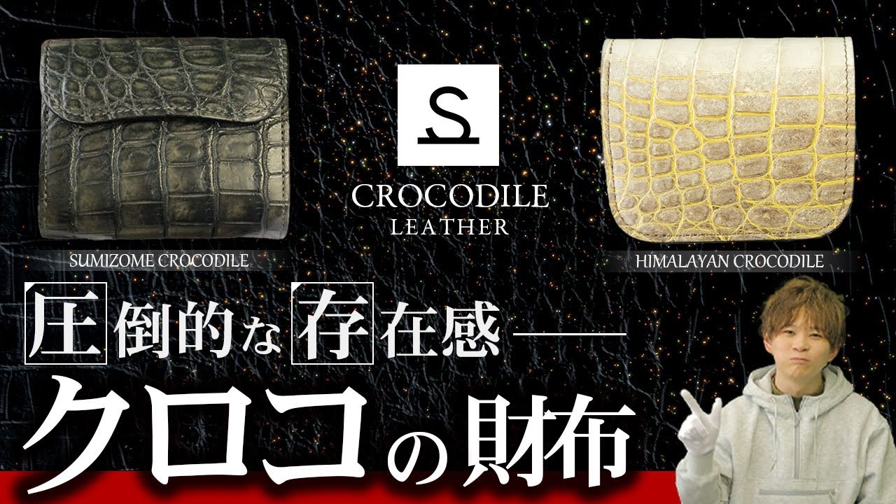 Wild Swans] Overwhelming presence! Crocodile wallet [Limited