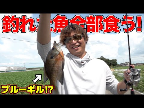No questions asked! We eat all the fish we catch!! - YouTube