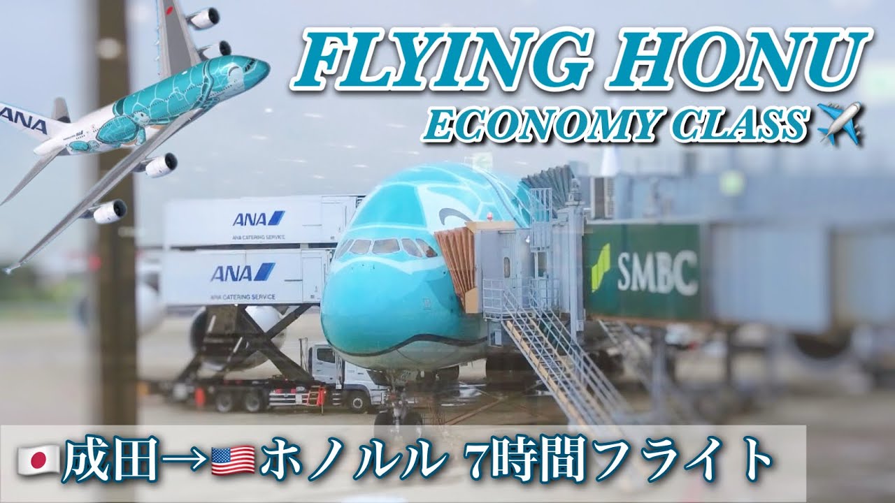 July 2025】ANA Flying Honu✈Japan to Honolulu | 7 hours flight