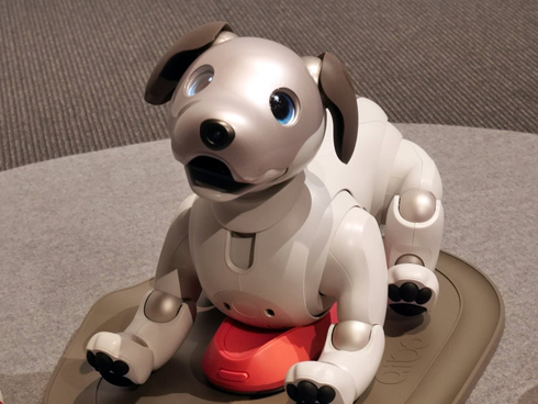 ソニーの犬型ロボット「aibo」に新機能「寝かしつけ」 - ITmedia NEWS