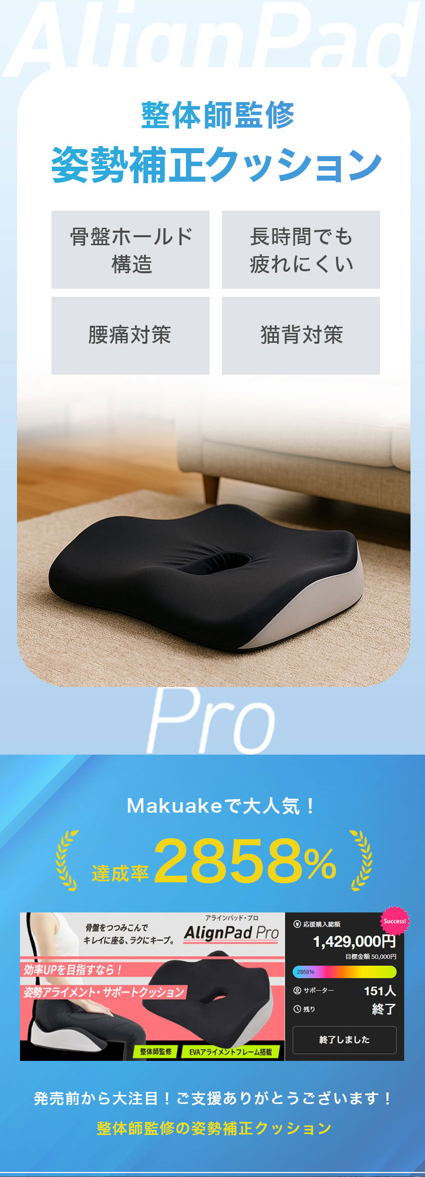 楽天市場】姿勢クッション 骨盤サポート 骨盤クッション 姿勢矯正