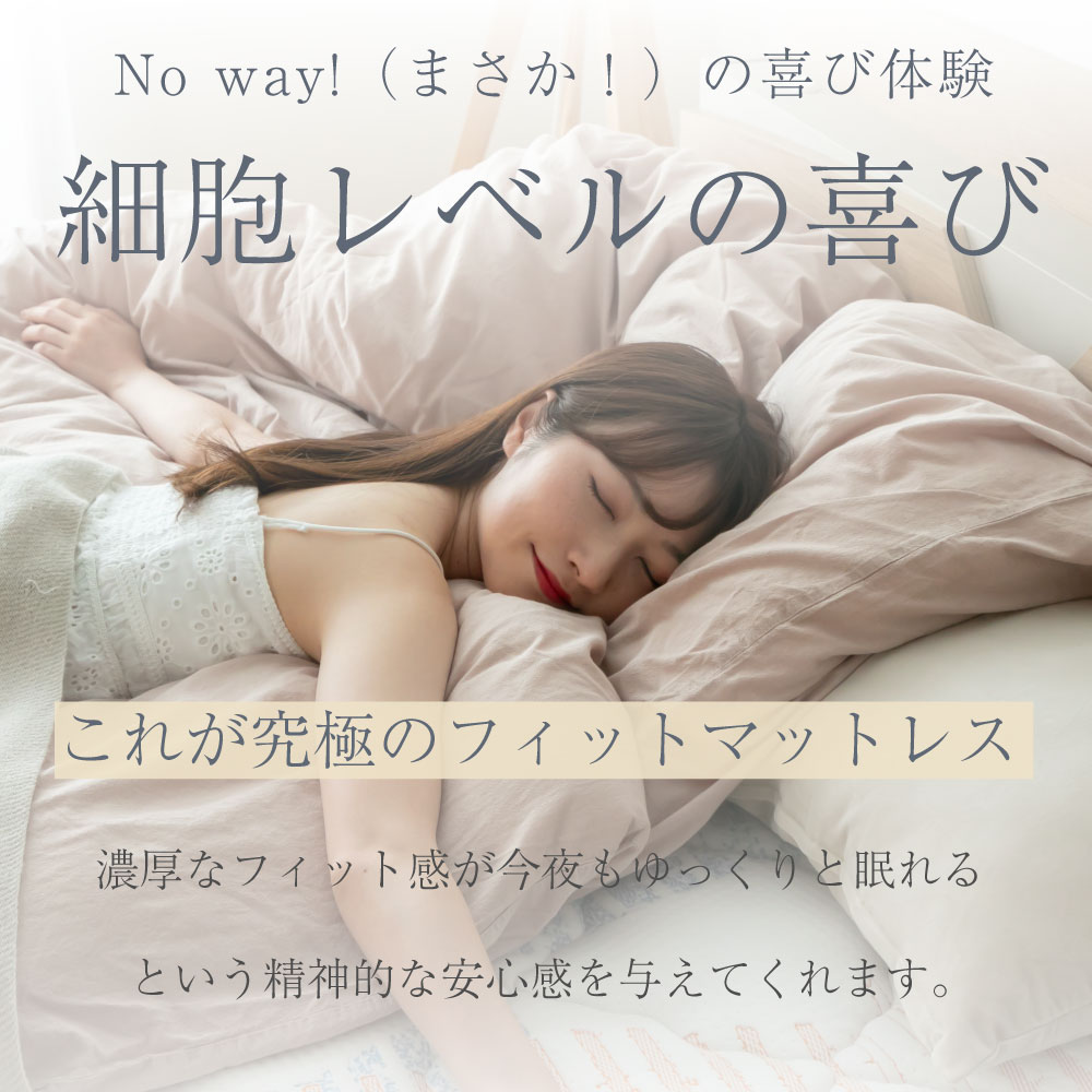 咲夜NoWay! 源ベッド最上クラス 新発売 ピロートップ 6.7インチ 8.5巻