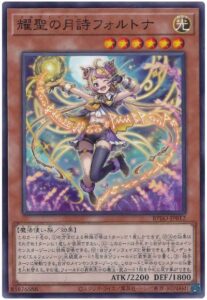 2025年 エルフェンノーツ 入門書】センターでこそ耀く、美しきシンクロ